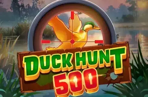 Duck Hunt 500